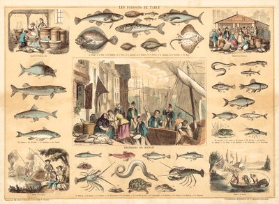 Peixes (cor litho) de French School