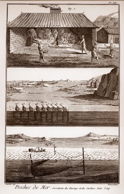 Pesca, arenque e sardinha - Peches de Mer - Sorretterie des herring et des sardines - "La Grande Encyclopedie, ou Dictionnaire Raisonne des Sciences, des Arts et des Metiers" (Enciclopédia ou Dicionário das Ciências, Artes e Profissões) por Deni de French School