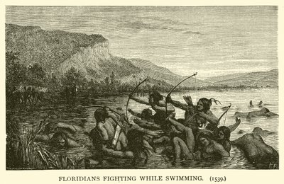 Floridianos lutando enquanto nadam de French School