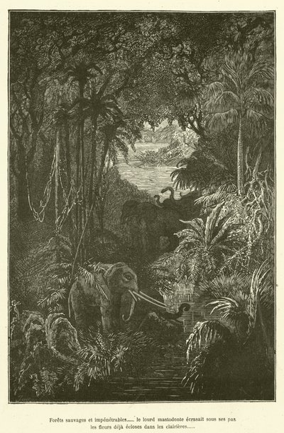 Florestas selvagens e impenetráveis..... o pesado mastodonte esmagou debaixo dos seus degraus as flores já floridas nas clareiras (gravura) de French School
