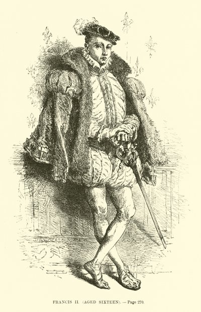 Francisco II, dezesseis anos de French School