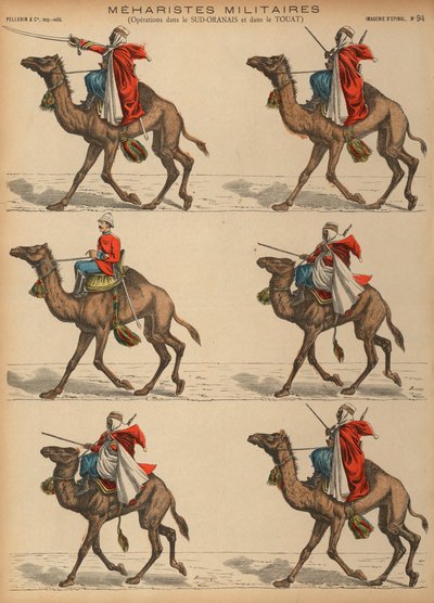 Meharistes do Exército Francês (cavalaria de camelos) na Argélia (gravura colorida) de French School