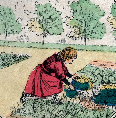 A crença francesa: Uma menina, acreditando que os bebês nascem em couves ou rosas, corta os brotos de uma horta - Foto epinal - século 19 (gravura) de French School