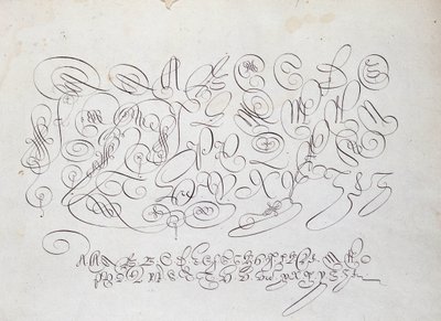 Caligrafia francesa: Placa de capital, gravura de Frisius, calcógrafo do rei por Robert Vignon, no jardim da escrita por volta de 1600. de French School