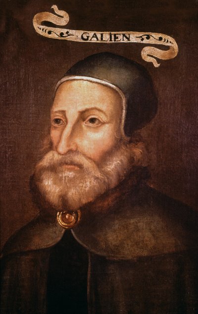 Galeno. Século XVII (pintura) de French School