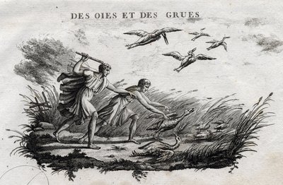 Gansos e grous - Fábula de Esope (Escritor grego Esop ou Esop, século VI a.C.) Escrito por Guillaume Montfort e gravado por Beauble em 1801 de French School