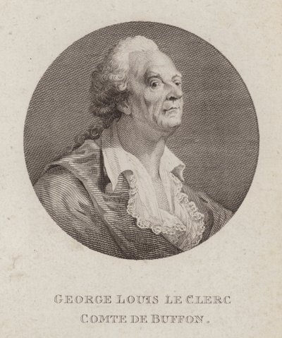 Georges-Louis Leclerc, Comte de Buffon, naturalista francês (gravura) de French School