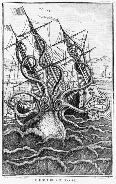 Polvo Gigante, ilustração da História Natural Geral e Especial dos Moluscos de Denys-Montfort, c. 1802-1803 de French School