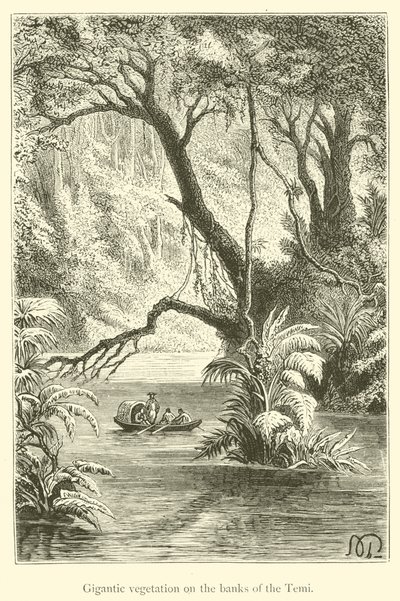 Vegetação gigantesca nas margens do Temi (gravura) de French School