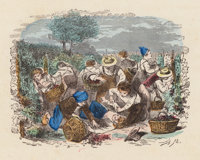 Colheita de uvas numa vinha (gravura colorida) de French School