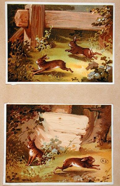 Lebres e Coelhos, c.1890 (cor litho) de French School