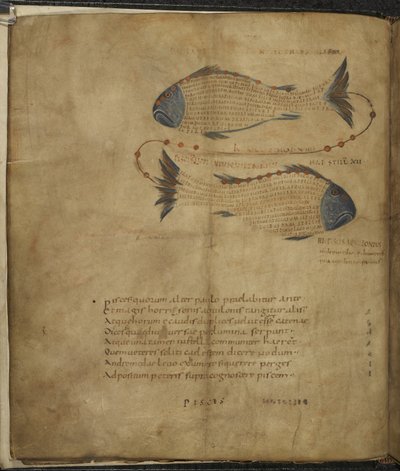 Harley 647, f.3v Ilustração da Constelação Peixes, de 