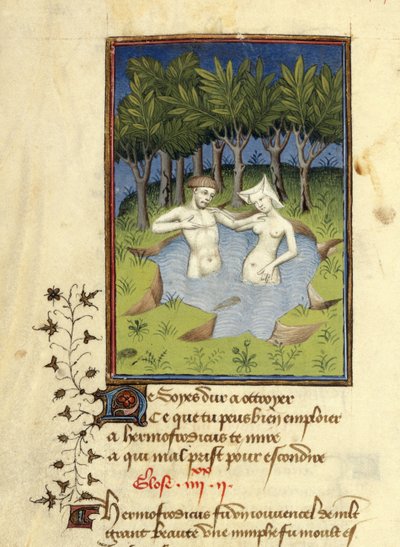Harley MS 4431, f.132v, Miniatura de Hermafrodito e a ninfa Salmacis tomando banho em um lago, de 