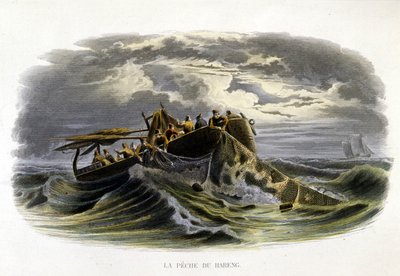 Pesca do arenque - na "História natural de Lacepède de French School