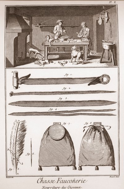 Caça - Falcoaria - Alimentação das aves - Gravura de Benard d