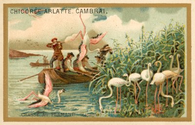 Caça aos flamingos, Espanha (chromolitho) de French School