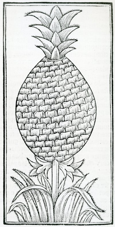 Ilustração de 
