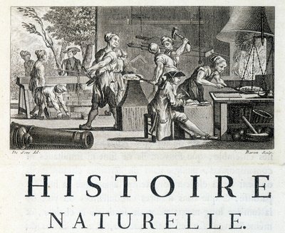 Interior de uma forja - em "Natural history, general and particular" de Buffon de French School