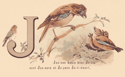 J: Young Jays Pretty are Players e Happy Jolily! de French School