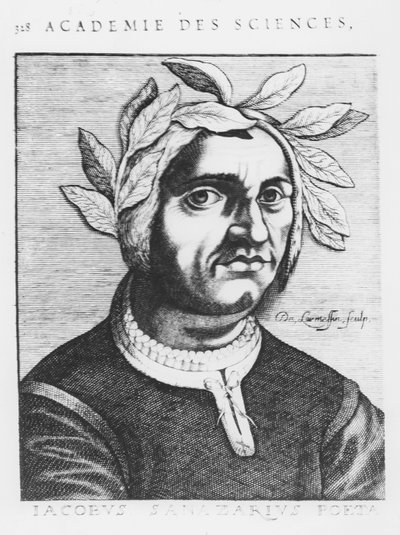 Jacopo Sannazaro (gravura) de French School
