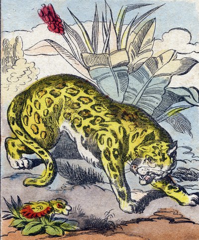 Jaguar. Gravura em "Buffon Alphabet des Animaux". 3ª Série N 1. Imaging of Epinal, Epinal, final do século XIX. 16 páginas. Dim: 28x21cm de French School
