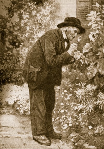 Jean-Henri Fabre observando insetos de French School