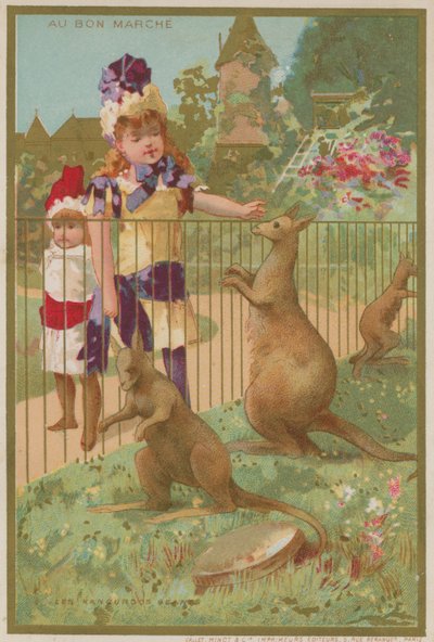 Cangurus em um zoológico de French School