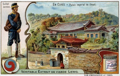 Coreia: Seul Imperial Palace and Soldier