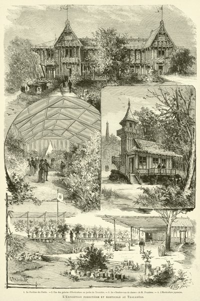 A Exposição Florestal e Horticultura no Trocadero (gravura) de French School