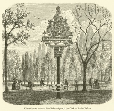The Sparrow House in Madison-Square, New-York (gravura) de French School