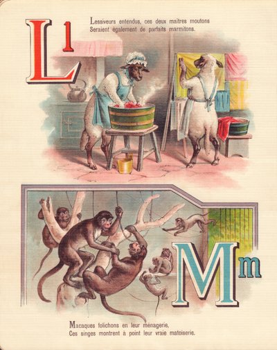 LM: Cordeiro, lavanderia, macacos, zoológico de French School