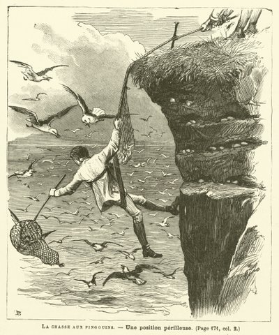 A Caça ao Pinguim (gravação) de French School