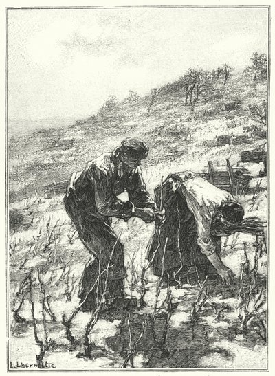 La Taille Des Vignes (gravura) de French School