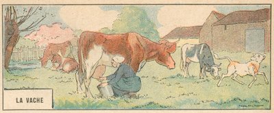 A Vaca (cor litho) de French School