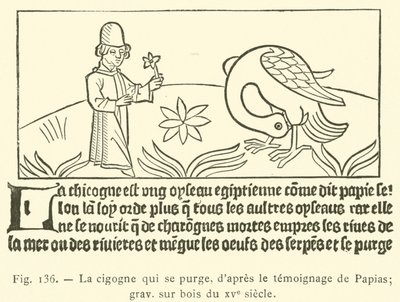 A cegonha de purga (gravação) de French School