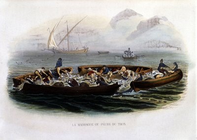 La madrague ou Pêche tuna - na "Histoire naturelle de Lacepède de French School