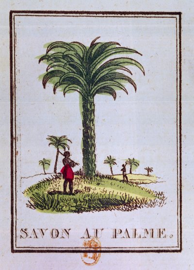 Etiqueta para um sabonete de óleo de palma, representando uma palmeira de French School