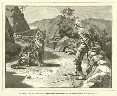 O Bagh Rajah de Bogelcund (gravura) de French School