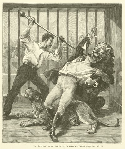 The Tamer Lucas de French School