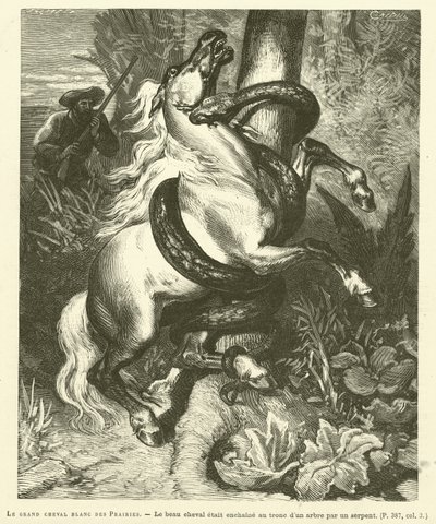Le Grand Cheval Blanc Des Prairies (gravura) de French School