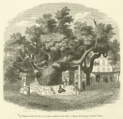O plátano da ilha de Cos, na praça pública da cidade (gravura) de French School