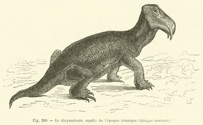 O dicynodont, réptil do período triássico, África Austral (gravura) de French School
