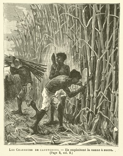 Les Chasseurs De Caoutchouc (gravura) de French School