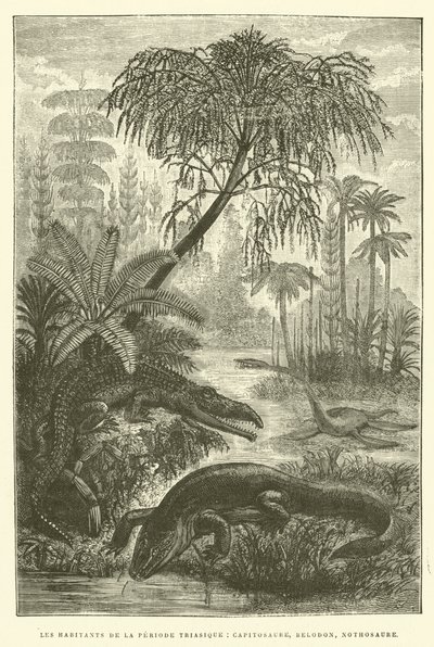 Habitantes do período triássico, capitossauro, belodon, nothossauro (gravura) de French School