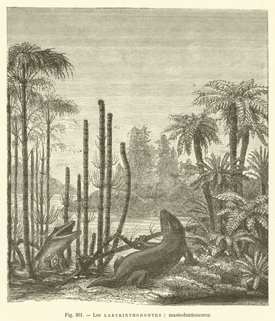 Labirintiodontes, mastodontossauros (gravação) de French School