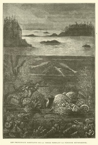 Os principais habitantes da terra durante o período devoniano (gravura) de French School