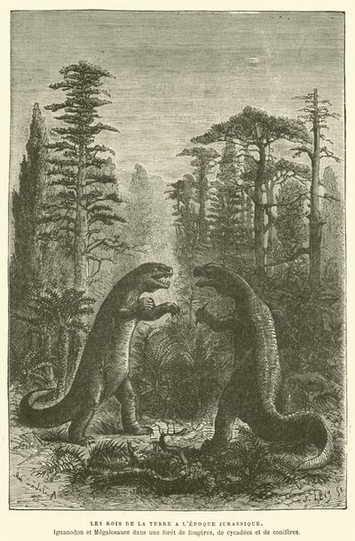 Os reis da terra no período Jurássico (gravura) de French School