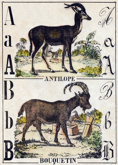 Carta A Antelope; B Ibex. Gravura em "Alfabeto dos animaux sauvages". 9ª Série. Imagem de Epinal, Pellerin, impressora-editora, cerca de 1870. Gravura em madeira, stencilada. 16 páginas. Dimensões: 20 x 15 cm. Coleção Particular de French School
