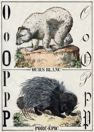 Carta O Bear; P Pork-epic (Epopéia do Porco). Gravura em "Alfabeto dos animaux sauvages". 9ª Série. Imagery of Epinal, Pellerin, printer-publisher, circa 1870. Gravura em madeira, stencilled. 16 páginas. Dimensões: 20 x 15 cm. Coleção Particular de French School