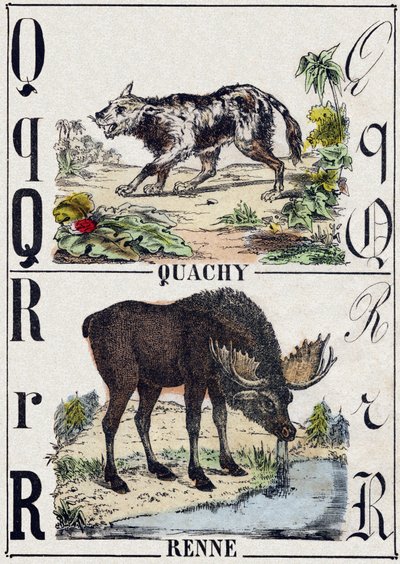 Carta Q Quachy (cão leão sul-americano); Renas. Gravura em "Alphabet des animaux sauvages". 9ª Série. Imagery of Epinal, Pellerin, printer-publisher, circa 1870. Gravura em madeira, stencilled. 16 páginas. Dimensões: 20 x 15 cm. Coleção Particular de French School